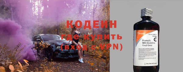 спиды Богданович