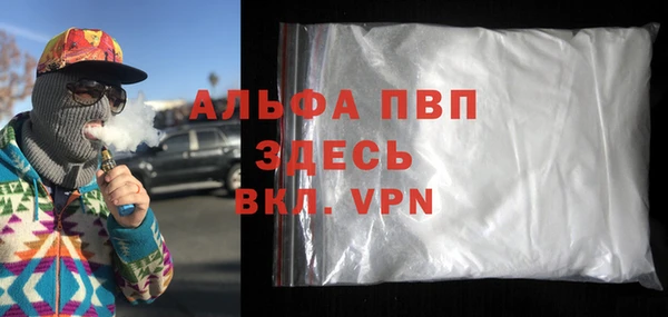 спиды Богданович