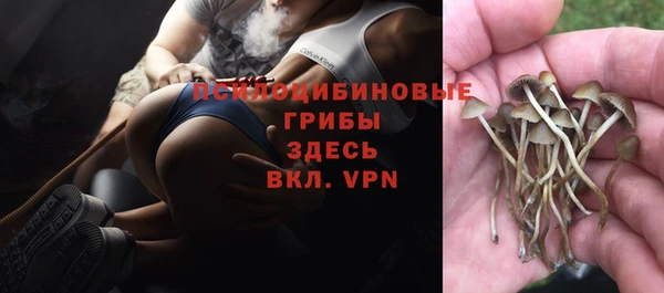 спиды Богданович