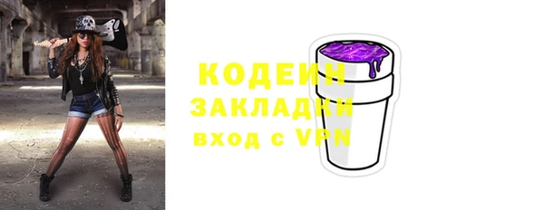 спиды Богданович