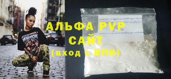спиды Богданович