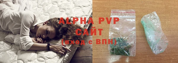 спиды Богданович