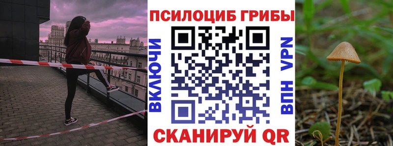 Галлюциногенные грибы Cubensis  Ногинск 