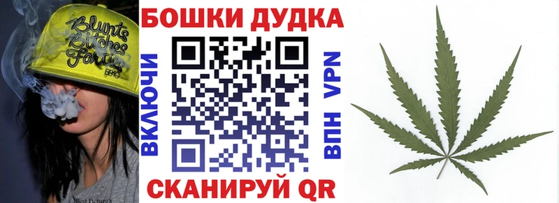 купить закладку  Ногинск  Конопля White Widow 